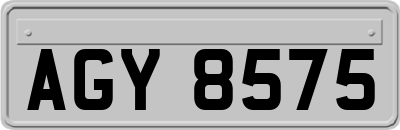 AGY8575