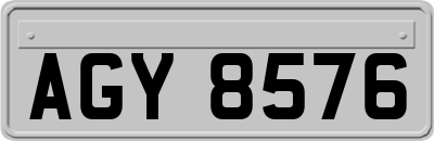 AGY8576