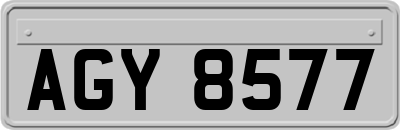 AGY8577