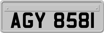 AGY8581