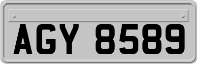 AGY8589