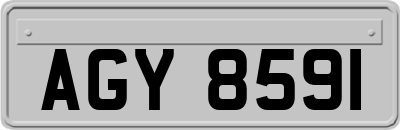 AGY8591
