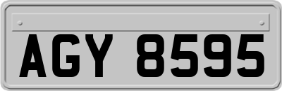 AGY8595