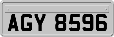 AGY8596