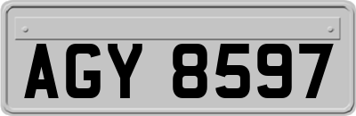 AGY8597