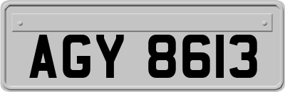 AGY8613