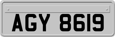 AGY8619