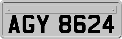 AGY8624