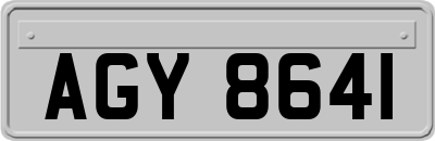 AGY8641