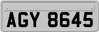 AGY8645