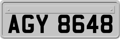 AGY8648