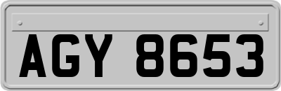 AGY8653