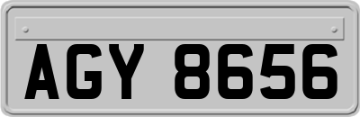 AGY8656
