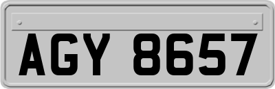 AGY8657