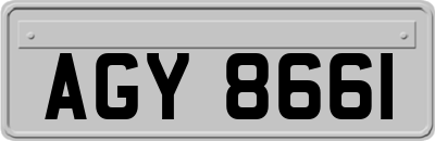 AGY8661