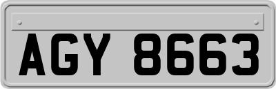 AGY8663
