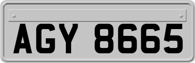 AGY8665
