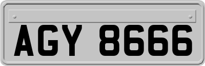 AGY8666