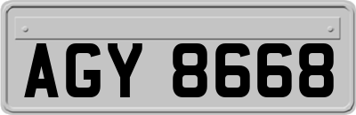 AGY8668