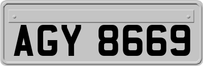 AGY8669
