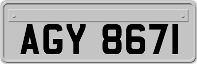 AGY8671