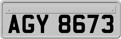 AGY8673