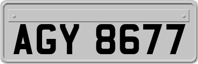 AGY8677