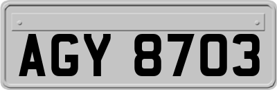 AGY8703