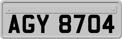 AGY8704