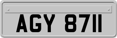 AGY8711