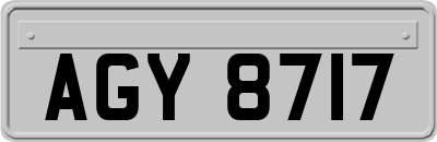 AGY8717