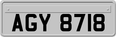 AGY8718