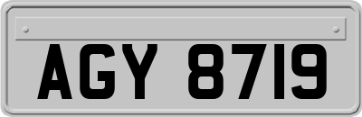 AGY8719