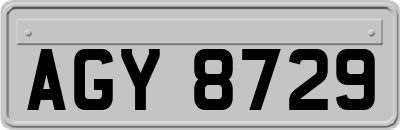 AGY8729