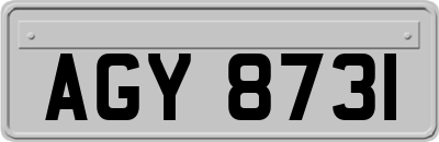AGY8731