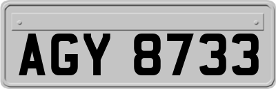 AGY8733