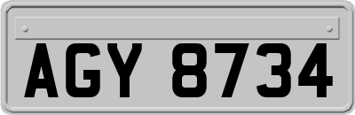 AGY8734