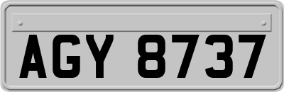 AGY8737