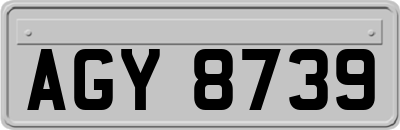AGY8739