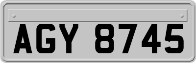 AGY8745