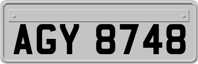 AGY8748
