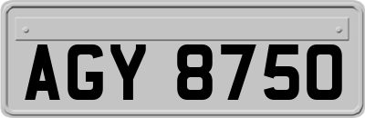 AGY8750