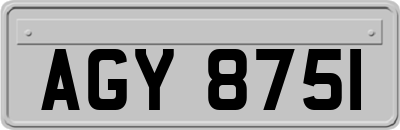 AGY8751