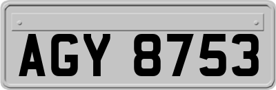 AGY8753