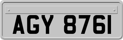 AGY8761
