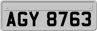 AGY8763