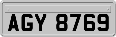 AGY8769