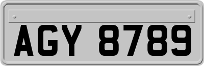 AGY8789