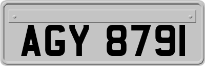 AGY8791