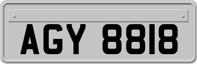AGY8818